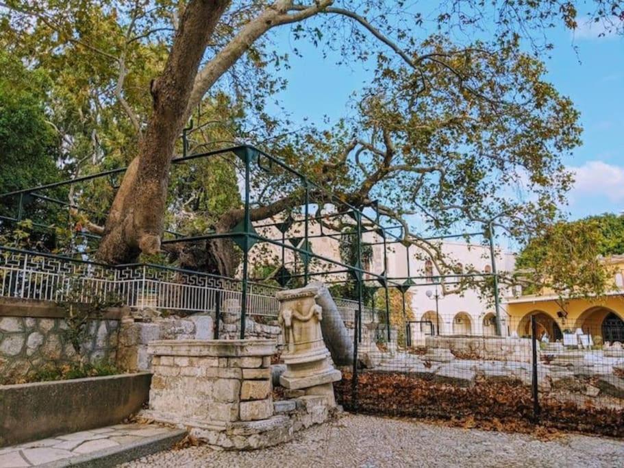 העיירה קוס Amalthea Guest House מראה חיצוני תמונה