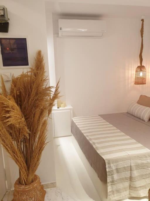 העיירה קוס Amalthea Guest House מראה חיצוני תמונה